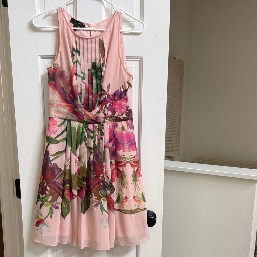 Ted Baker Soft Pink Dress with Sheer Accents